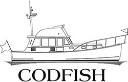 Codfish Logo White Background
